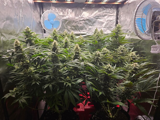 Growreport Bild 24