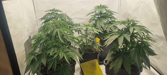 Growreport Bild 24