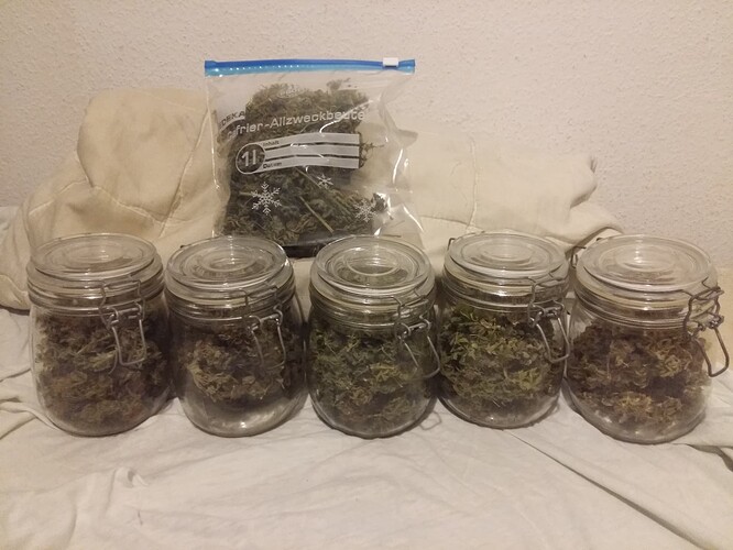 Growreport Bild 9