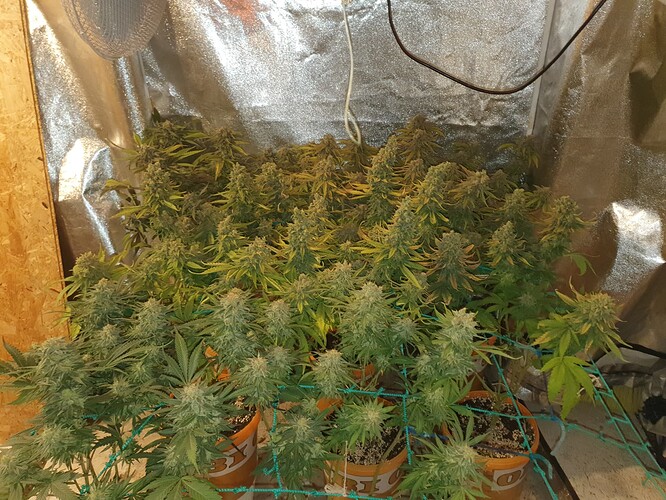 Growreport Bild 10