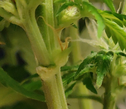 Growreport Bild 13