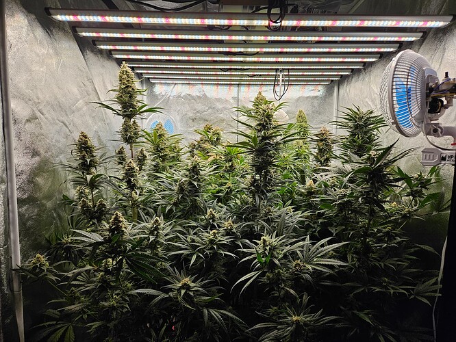 Growreport Bild 50