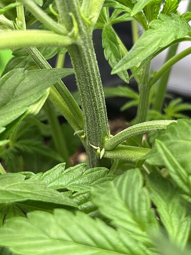 Growreport Bild 18