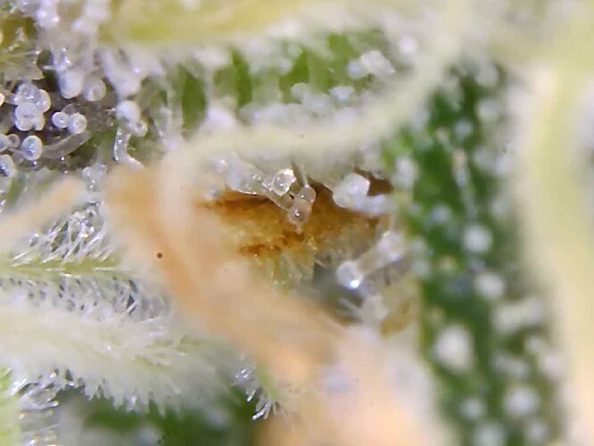 Growreport Bild 18