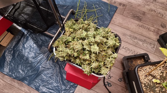 Growreport Bild 17