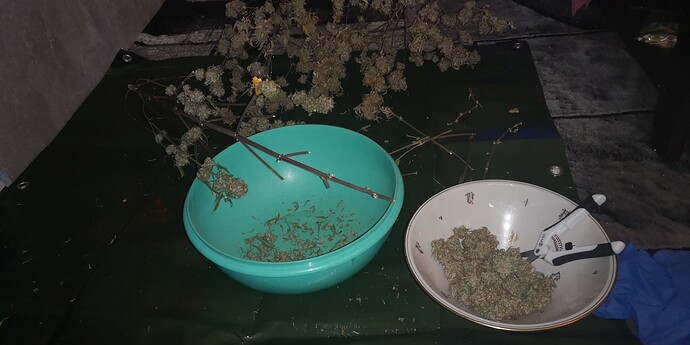 Growreport Bild 2