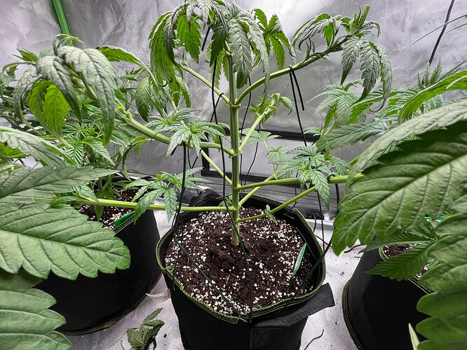 Growreport Bild 14