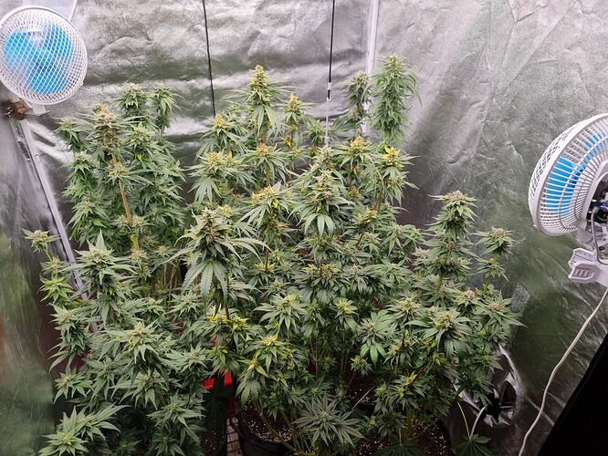 Growreport Bild 15
