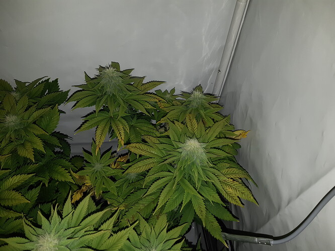 Growreport Bild 11