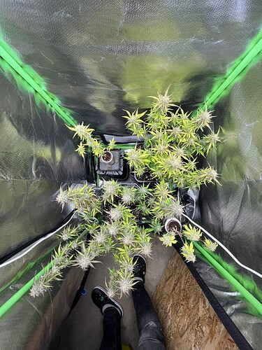 Growreport Bild 27