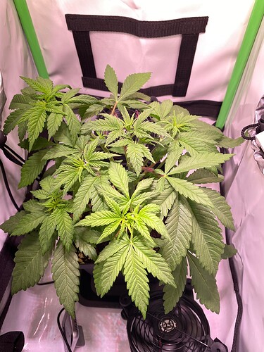 Growreport Bild 8