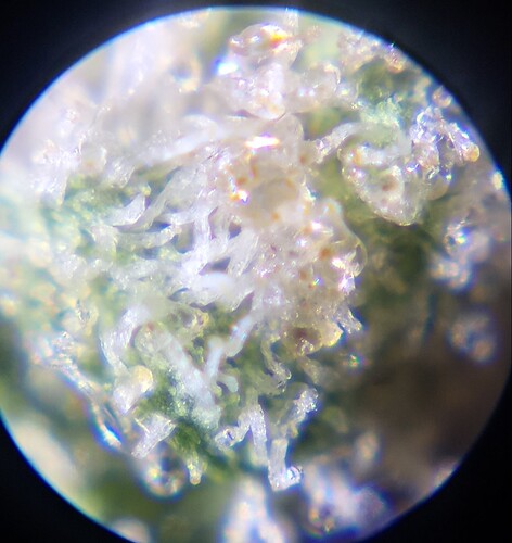 Growreport Bild 14