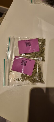 Growreport Bild 31