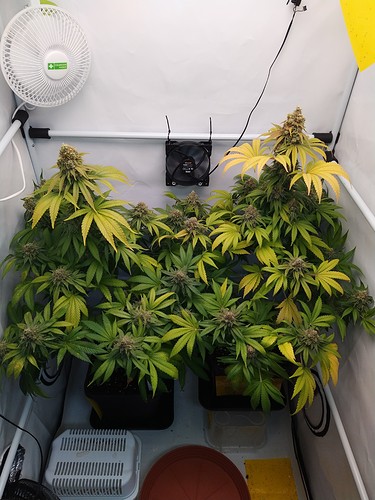 Growreport Bild 1
