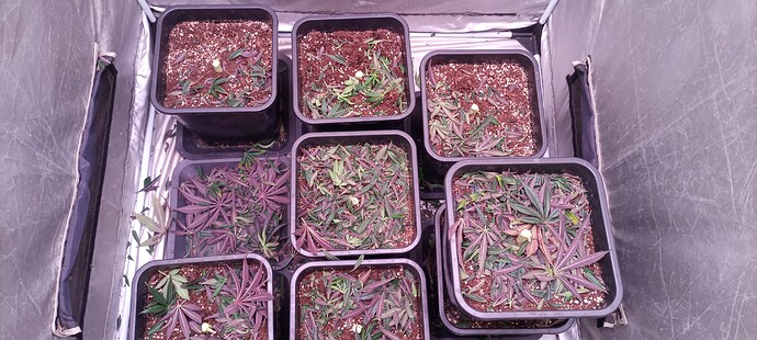 Growreport Bild 16