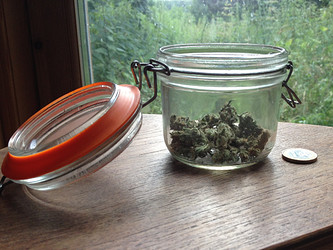Growreport Bild 18