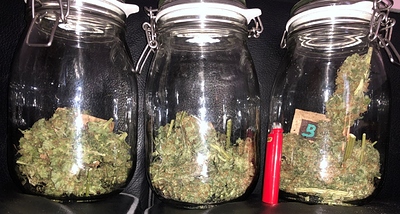 Growreport Bild 6