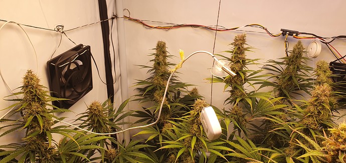 Growreport Bild 4