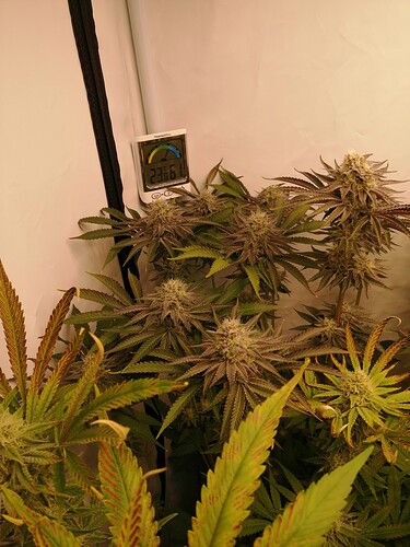 Growreport Bild 8