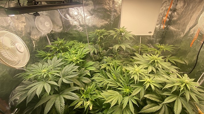 Growreport Bild 2