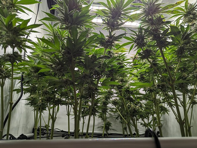 Growreport Bild 12