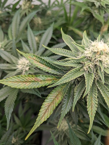 Growreport Bild 7