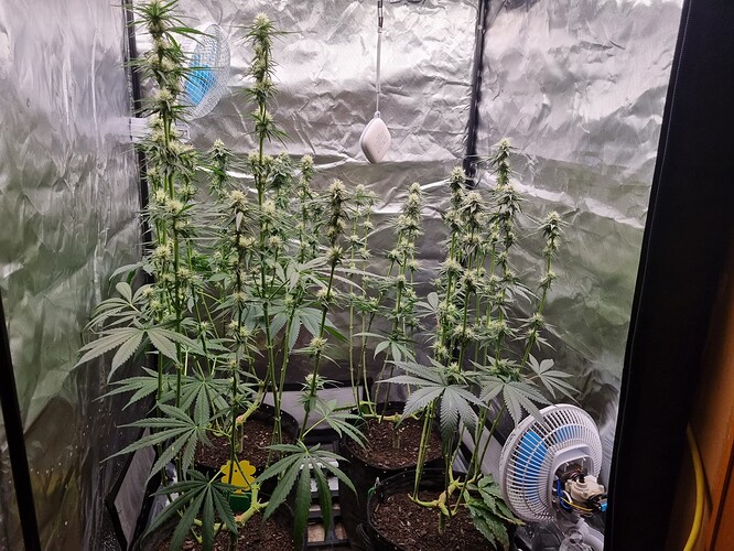 Growreport Bild 20