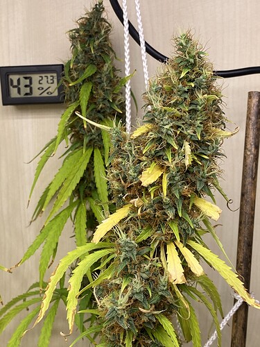 Growreport Bild 8