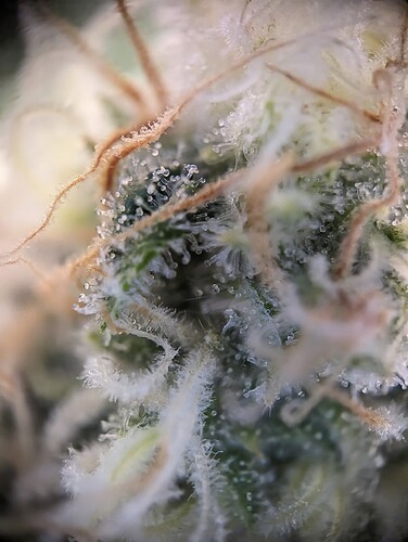 Growreport Bild 16