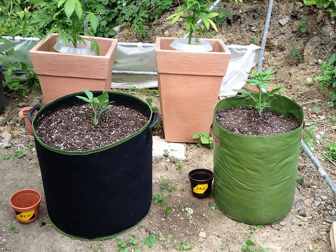 074_FastBudsZeltTag1_07