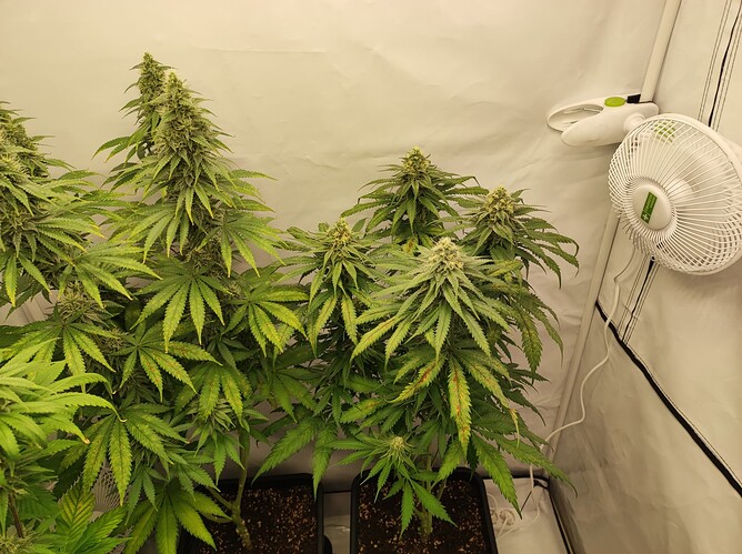 Growreport Bild 7