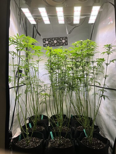 Growreport Bild 6
