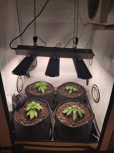 Growreport Bild 19