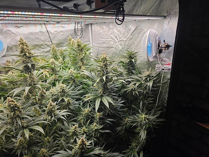 Growreport Bild 8