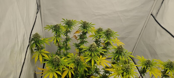 Growreport Bild 3