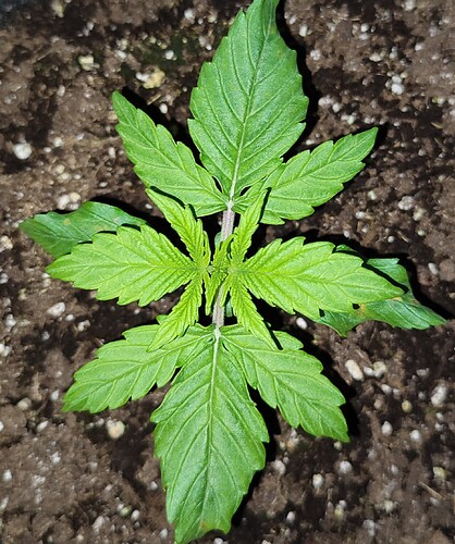Growreport Bild 18
