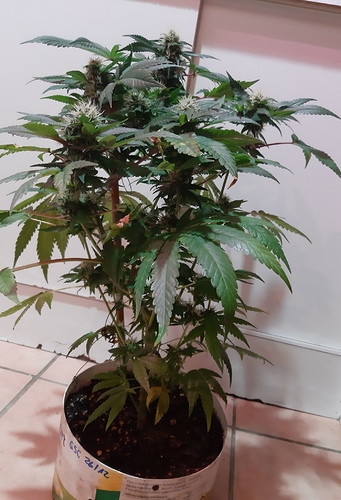 Growreport Bild 10