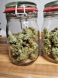 Growreport Bild 16