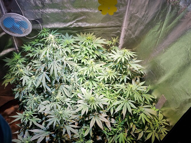 Growreport Bild 17