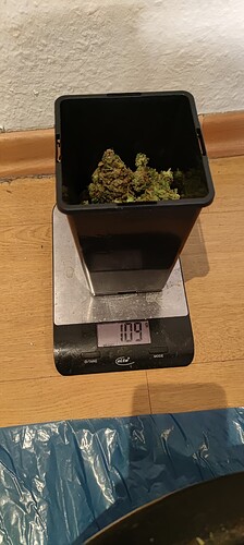 Growreport Bild 11