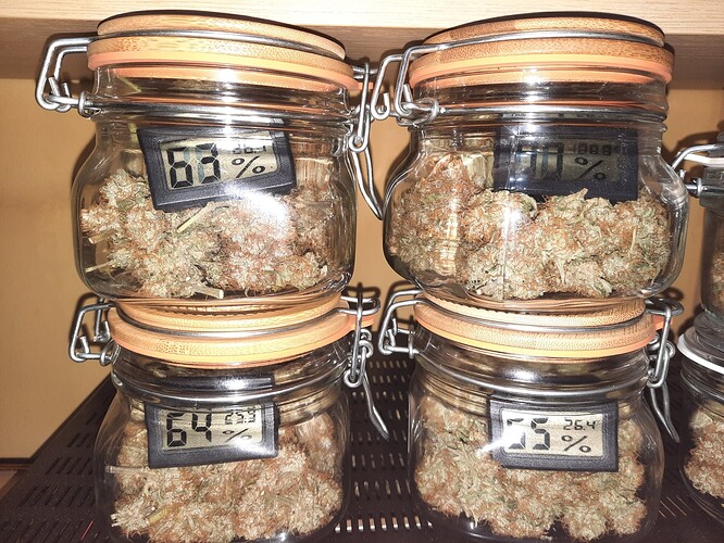 Growreport Bild 65