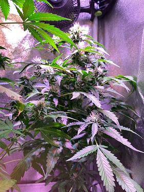 Growreport Bild 4