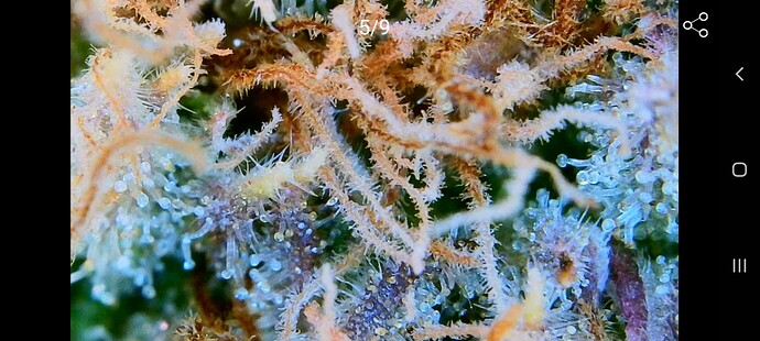 Growreport Bild 10