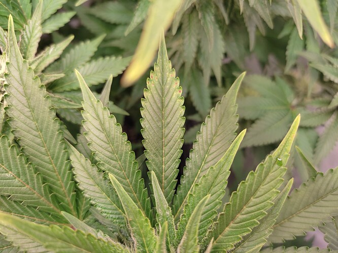 Growreport Bild 10