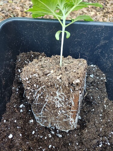 Growreport Bild 12