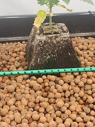 Growreport Bild 10