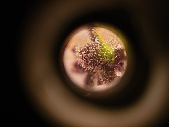 Growreport Bild 17