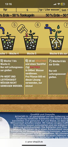 Growreport Bild 8