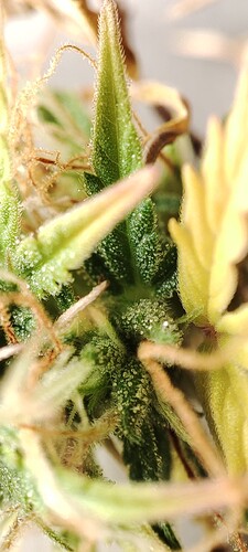 Growreport Bild 4