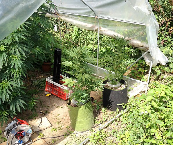 Growreport Bild 18